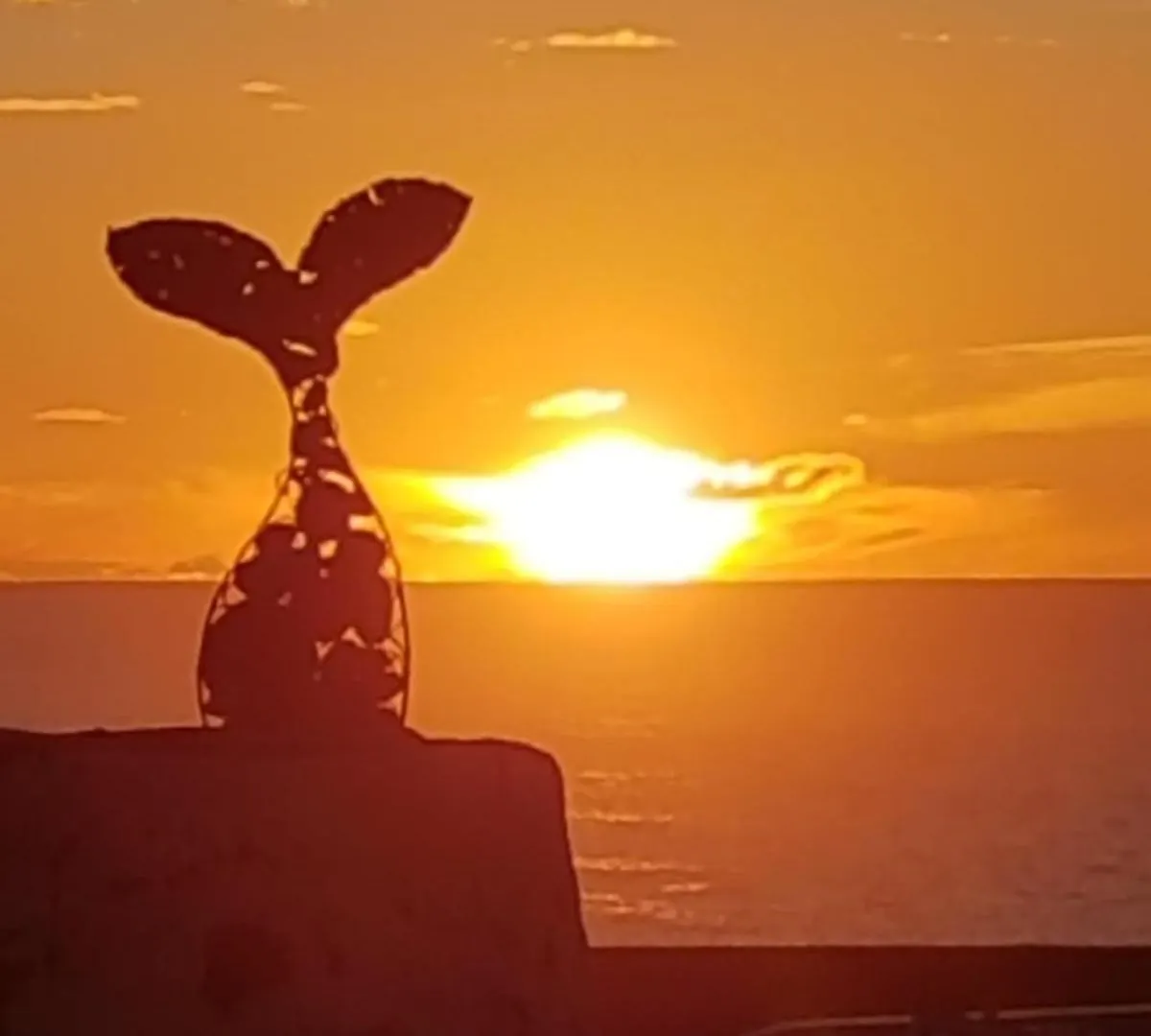 El Cotillo Sonando/Stylish/Minutes From Swim Or Surf/Well Equipped 0*,